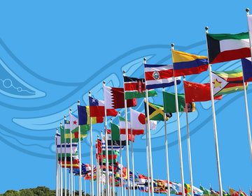 Working with the UN Declaration on the Rights of Indigenous Peoples - In-Person Training