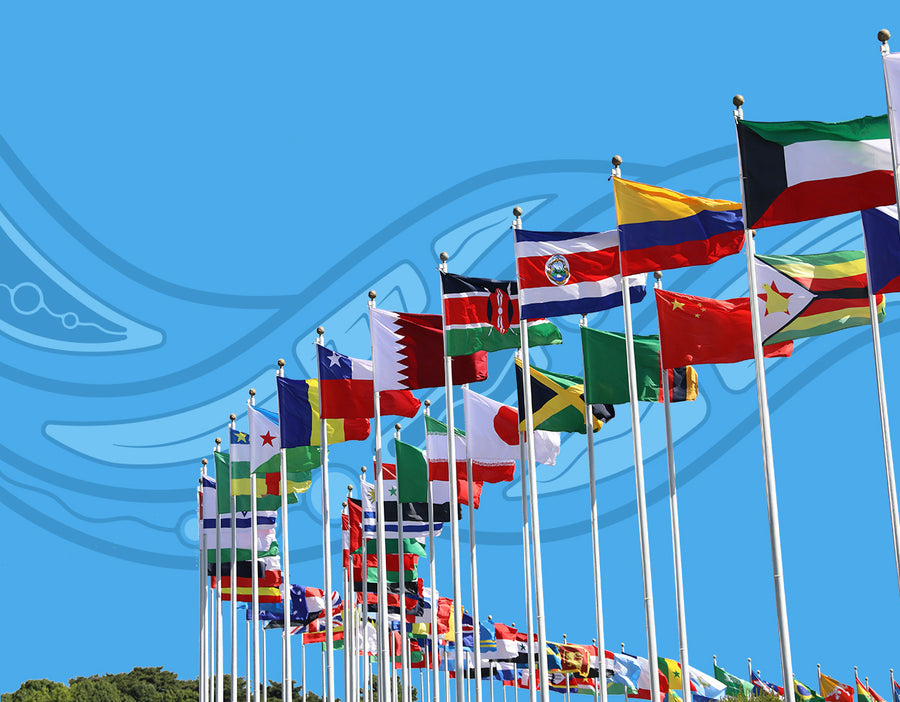 Working with the UN Declaration on the Rights of Indigenous Peoples - Self-Guided Training