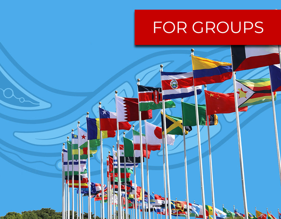 Working with the UN Declaration on the Rights of Indigenous Peoples  - Self-Guided Training for Groups